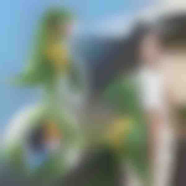 3D dinoszaurusz alakú hátizsák | DINOBACK