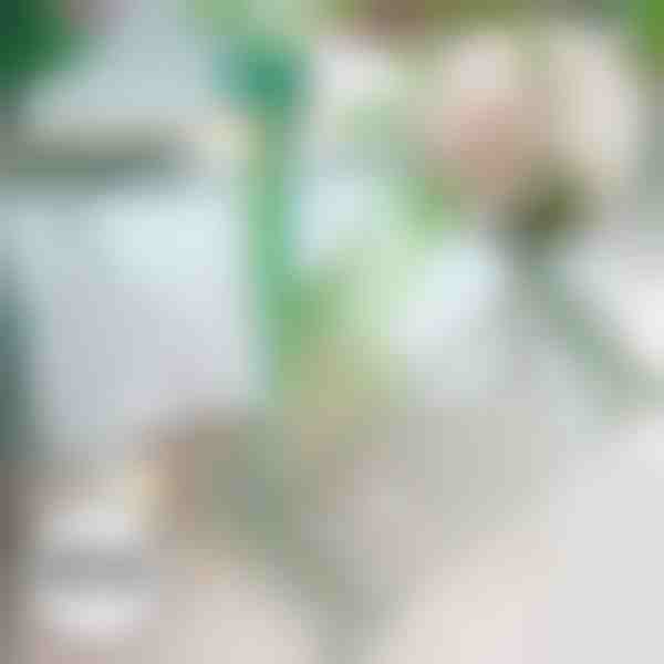 Növény támasztó | ROOTZI