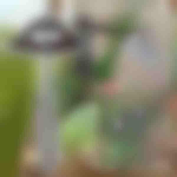 Kerti kapa a gyomok könnyű eltávolításához | GRASSOE