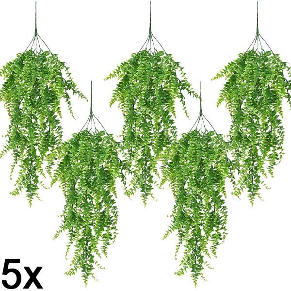 5x Műnövény, függő páfrány (80 cm) | FERNY