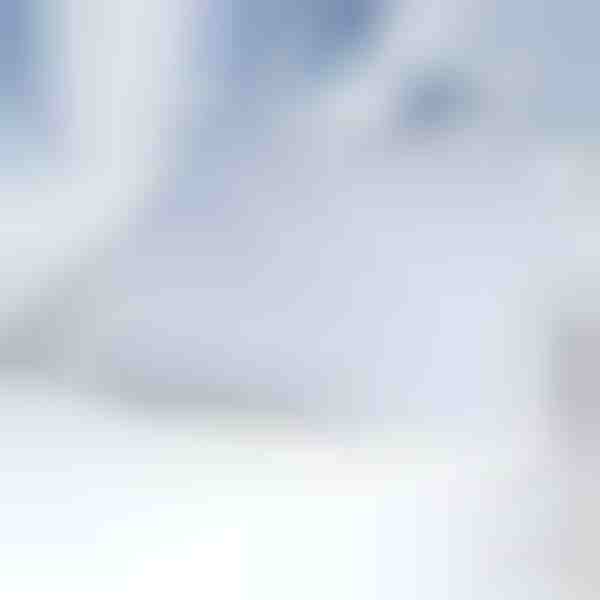 Mágneses szélvédőhóvédő takaró | FROSTCOVER