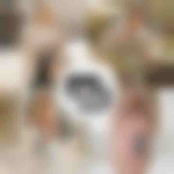 Kompakt cipzáras pénztárca | WALLEO