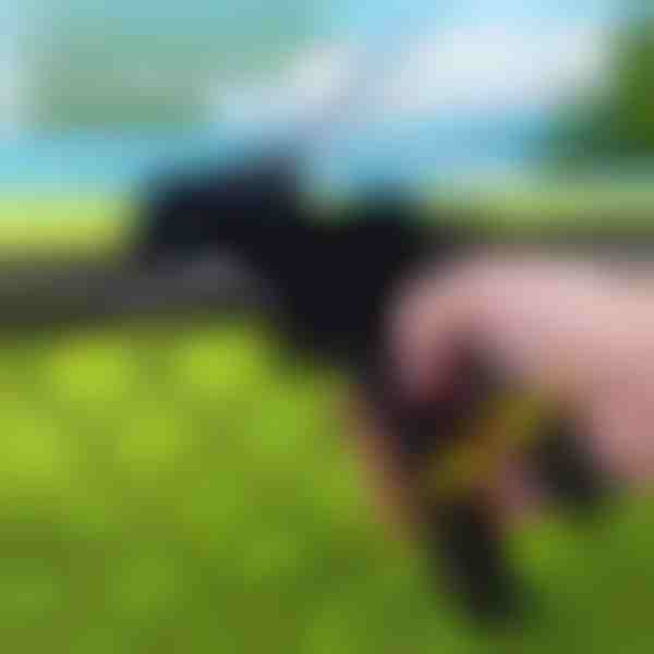 Nehéz kivitelű kábelkötöző szerszám | ZIPFLEX